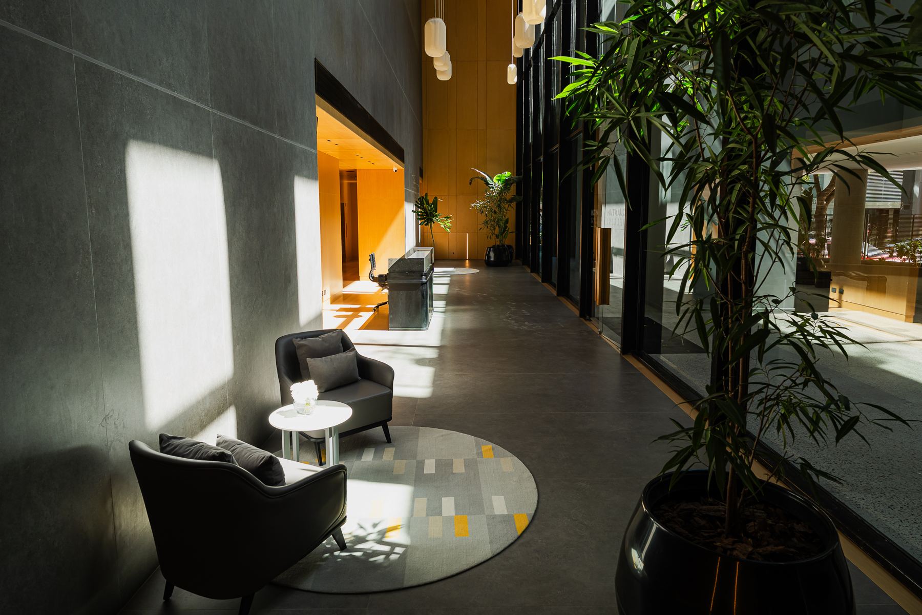 Estar con plantas sobre el patio interno